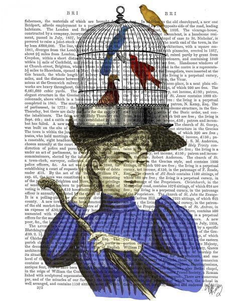 Woman with Birdcage Hat