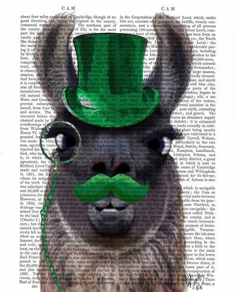 Llama With Green Top Hat and Moustache