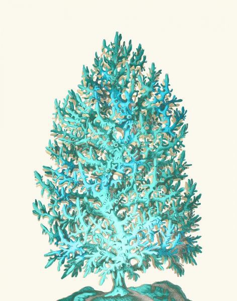 Coral Tree Turquoise on Cream
