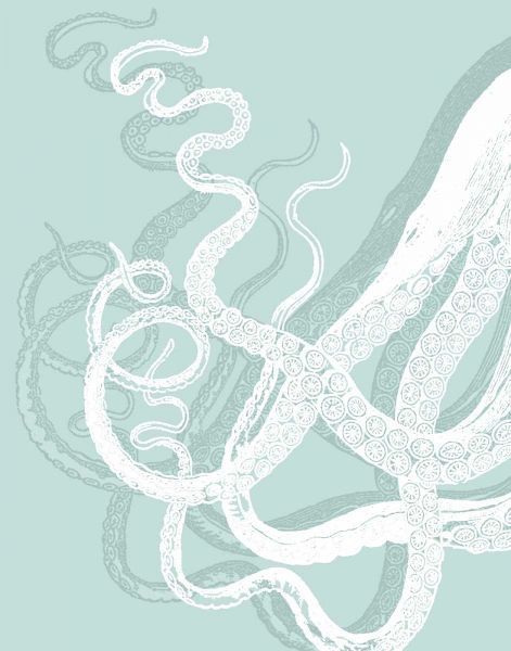 Octopus Tentacles White on Seafoam
