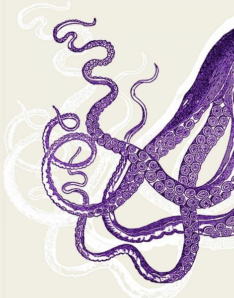 Octopus Tentacles Purple And White