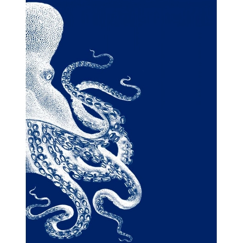 Octopus Navy Blue and Cream b