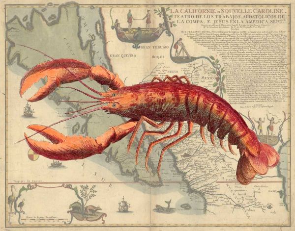 Lobster print on Nautical Map
