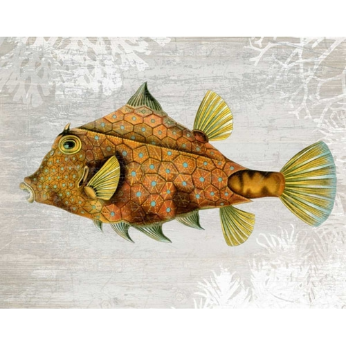 Gold Turret Fish