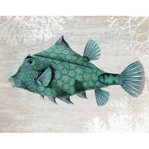 Turquoise Turret Fish