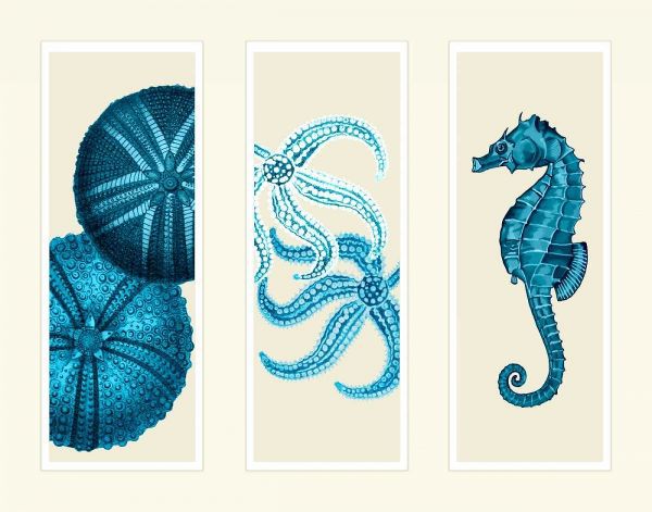 Three Panel Print Sea Urchin Starfish and Seahorse in Blue