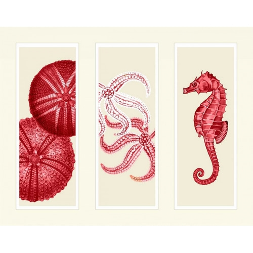 Three Panel Print Sea Urchin Starfish and Seahorse in Red