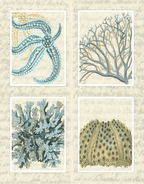 Blue Corals On Vintage Script in 4 Panels