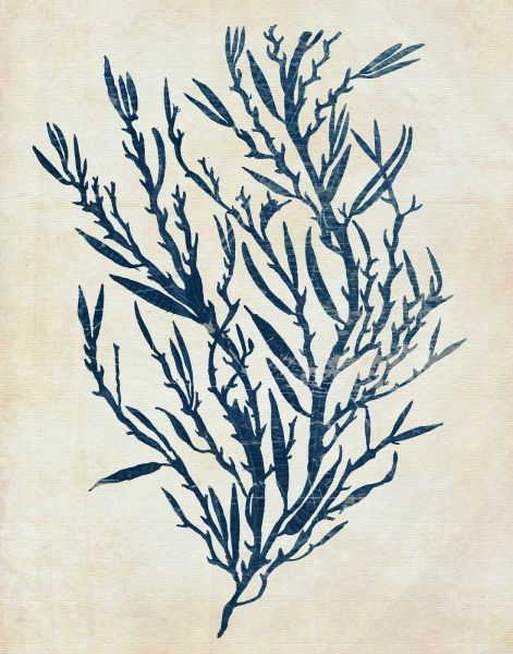 Indigo Blue Seaweed 3 b
