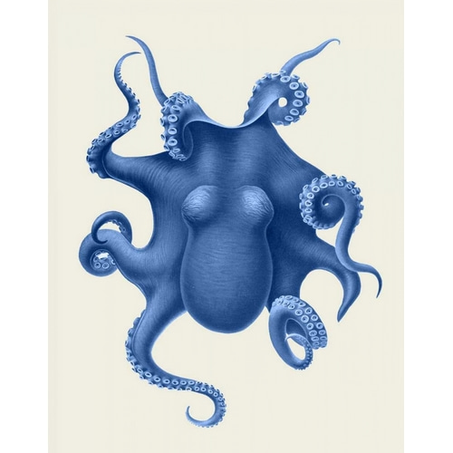 Blue Octopus on Cream d