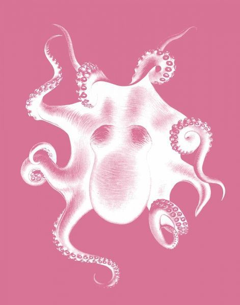 Octopus White on Pink c
