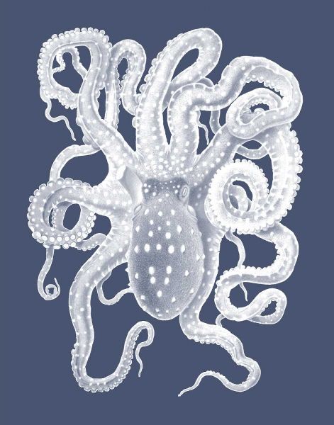 White Octopus on Indigo Blue a