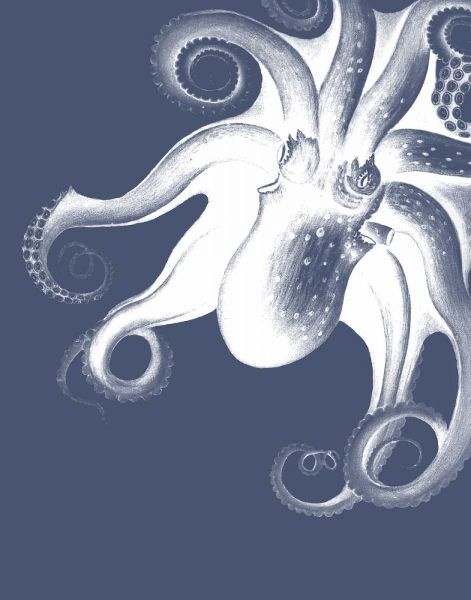 White Octopus on Indigo Blue f