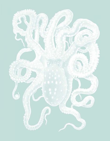 White Octopus on Seafoam a