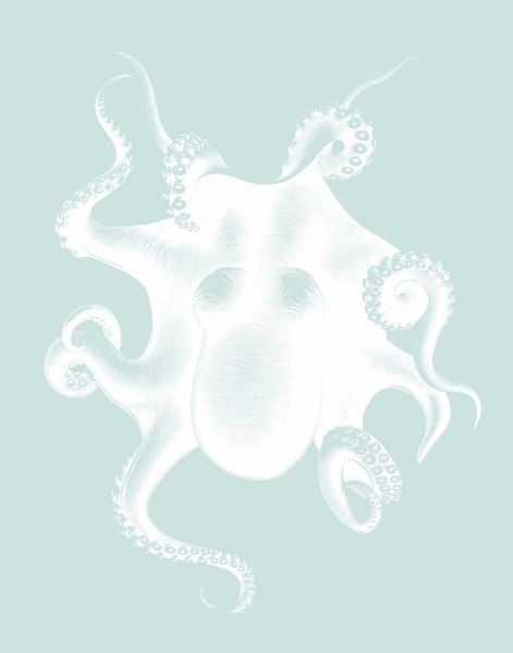 White Octopus on Seafoam d