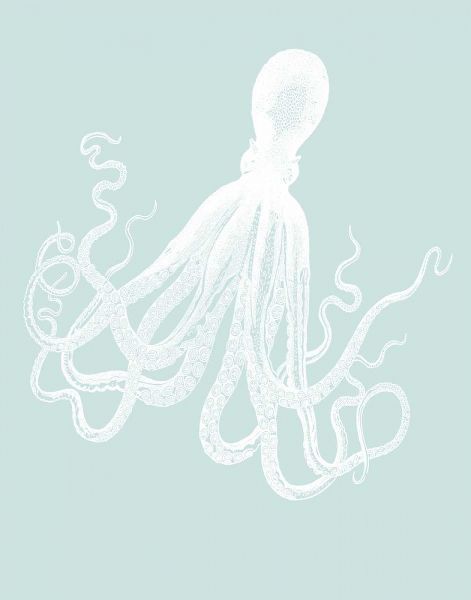 White Octopus on Seafoam e
