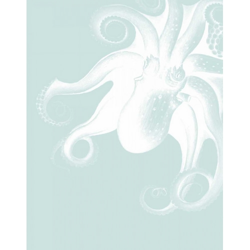 White Octopus on Seafoam f