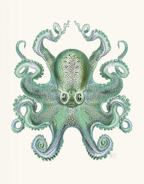 Turquoise Octopus and Squid a