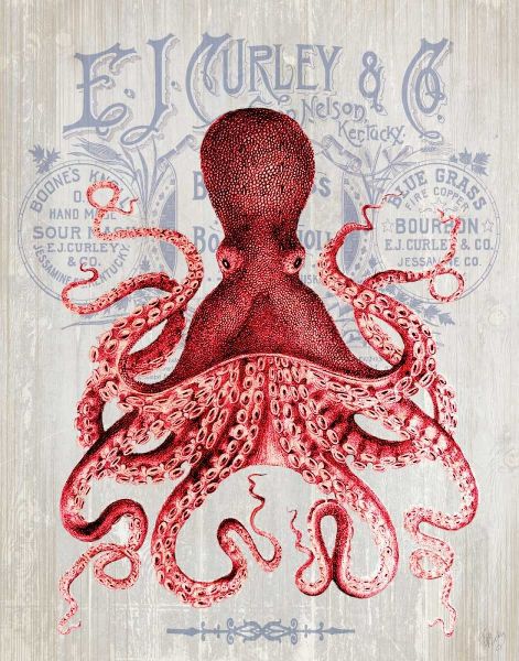 Octopus Prohibition Octopus On White