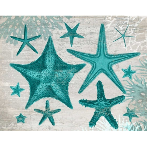 Green Starfish Collection