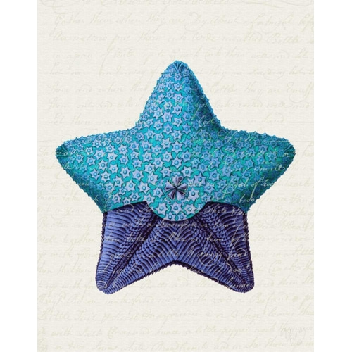 Starfish in Shades of Blue a