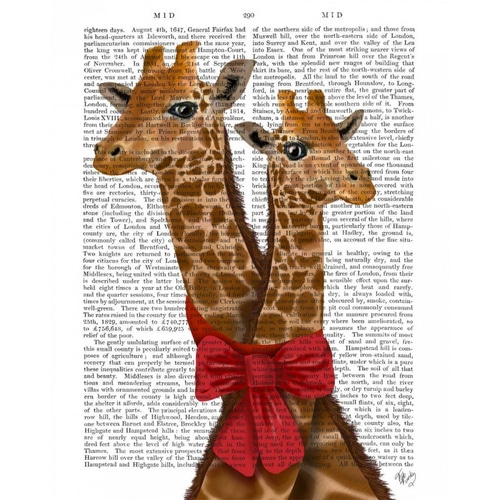 Giraffes and Bow