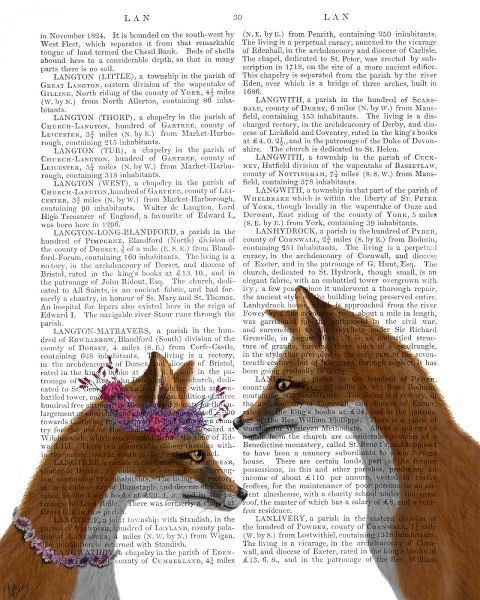 Fox Lovers