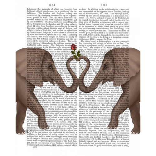 Elephants Heart and Rose