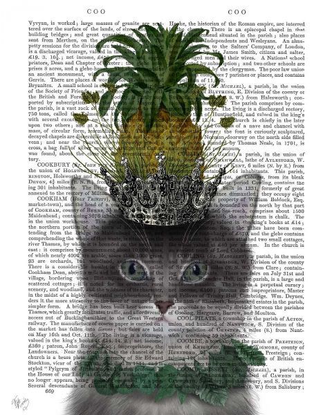 Cat, Pineapple Puss