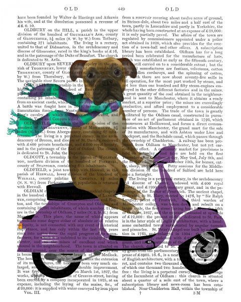 Boxer On Moped