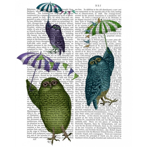 Owls with Umbrellas