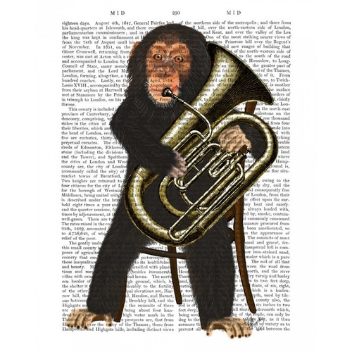 Chimp Playing Tuba
