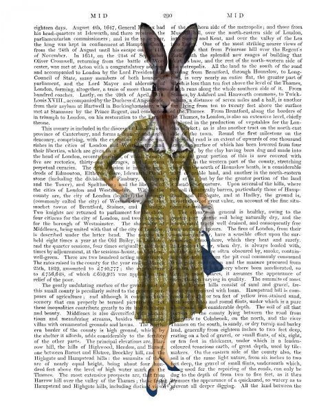Rabbit In Mustard Dress
