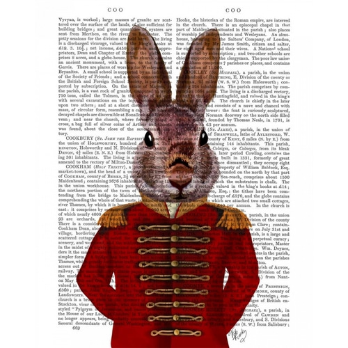 Military Rabbit in Red