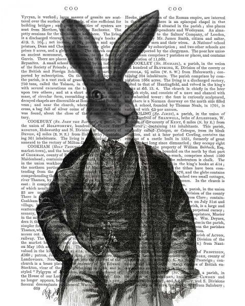 Rabbit Victorian Gent