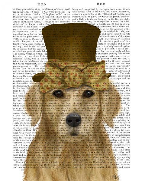 Golden Retriever, Hat and Bow
