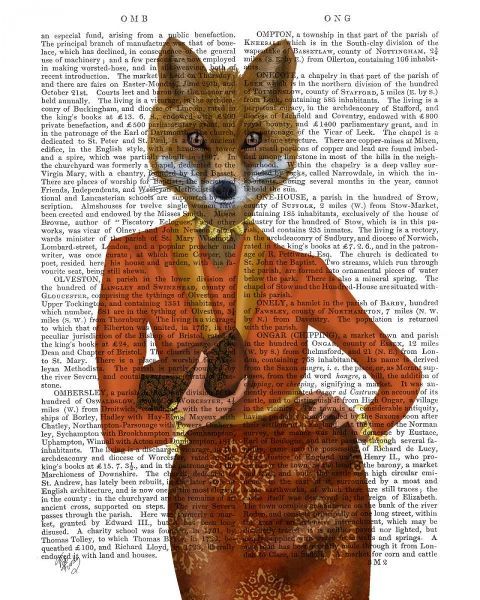 Fox in Orange, Portrait