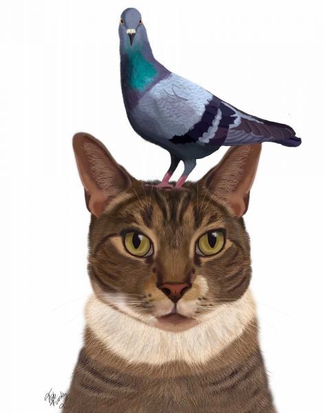 Cat with Pigeon on Head