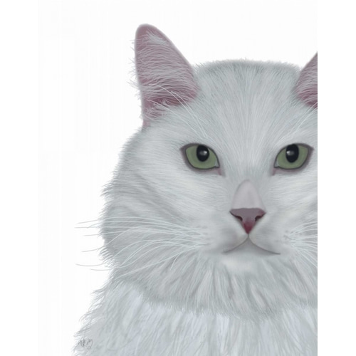 Cat, White Portrait on White