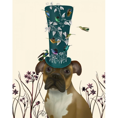 Boxer and Bird Hat