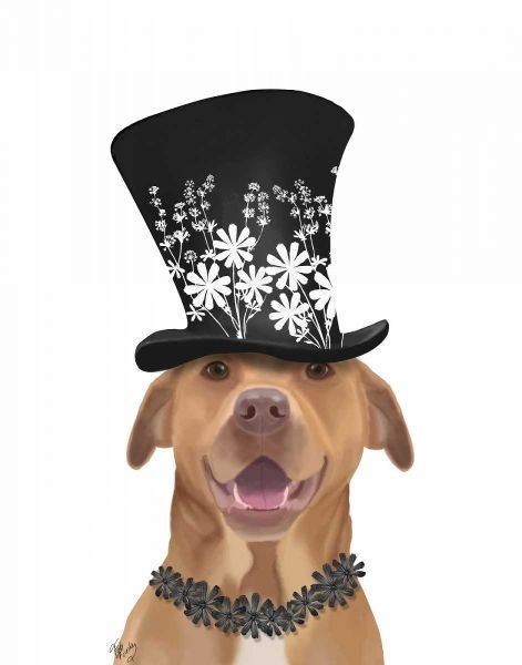 Pit Bull with Black Hat