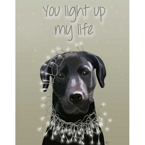Black Labrador, You Light Up