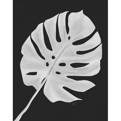 Monstera Leaf 1, White On Black