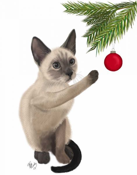 Siamese Cat and Bauble