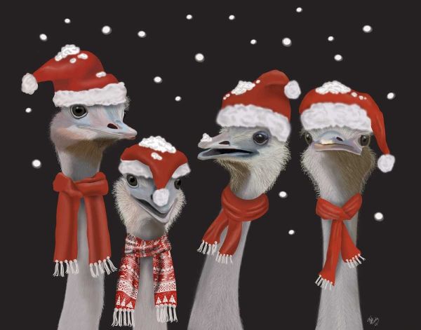 Ostrich, Christmas Gals