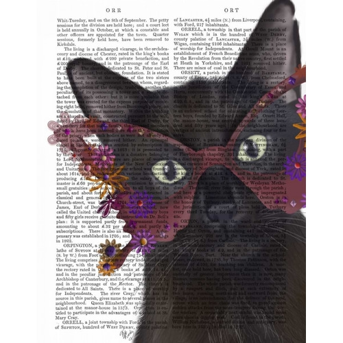 Cat and Flower Glasses