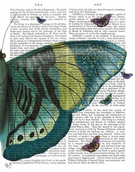 Butterfly in Turquoise and Yellow b