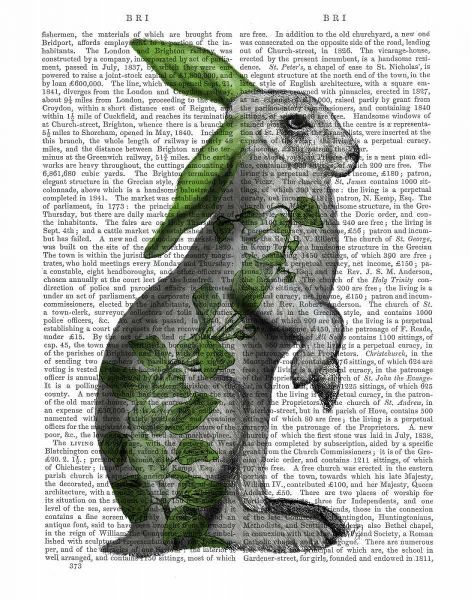Hare with Green Ears