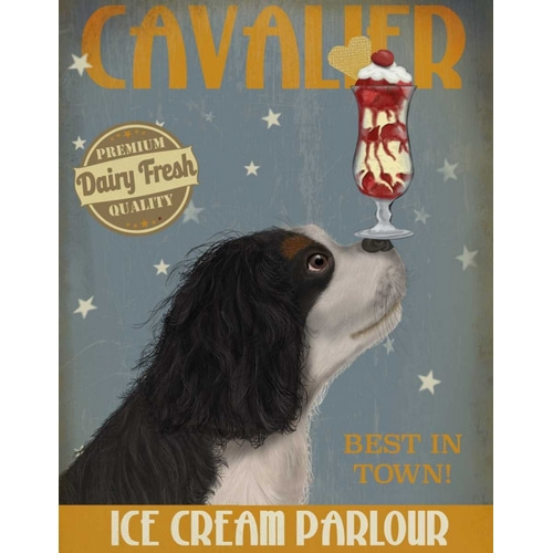 Cavalier King Charles, Black White, Ice Cream