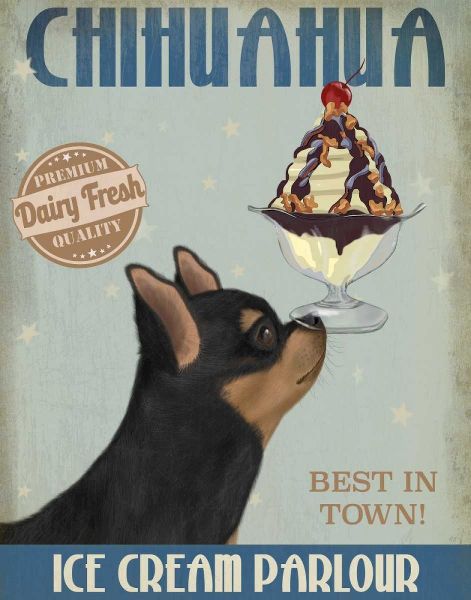 Chihuahua, Black and Ginger, Ice Cream